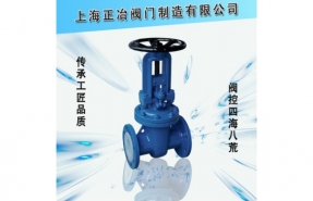 Z41F46 型 PN16、PN25 氟塑料襯里楔式閘閥