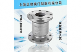 H42H、H42W立式止回閥