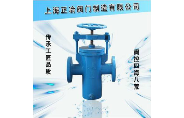 杠桿快開籃式過濾器